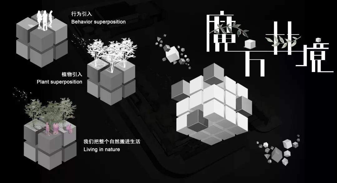 1641783929714571.jpg 22.jpg