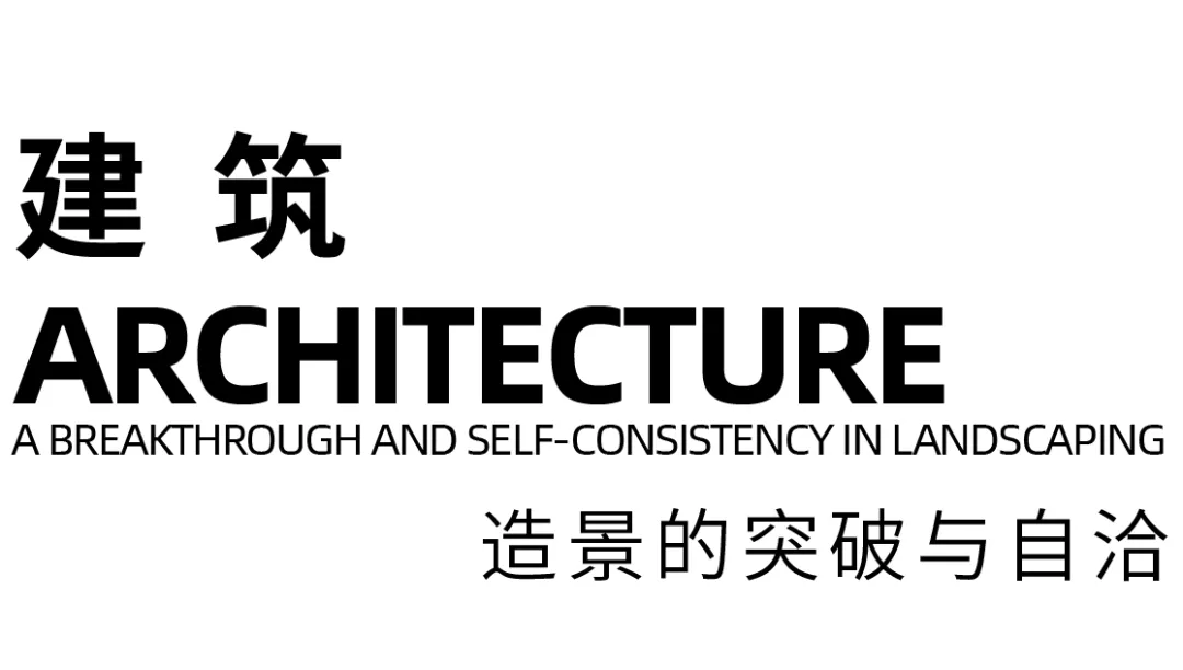 1734484854885045.jpg 1734484783229.jpg