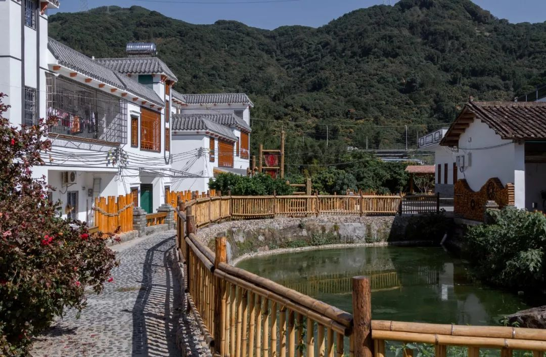 1734492589204822.jpg 1734492548328.jpg