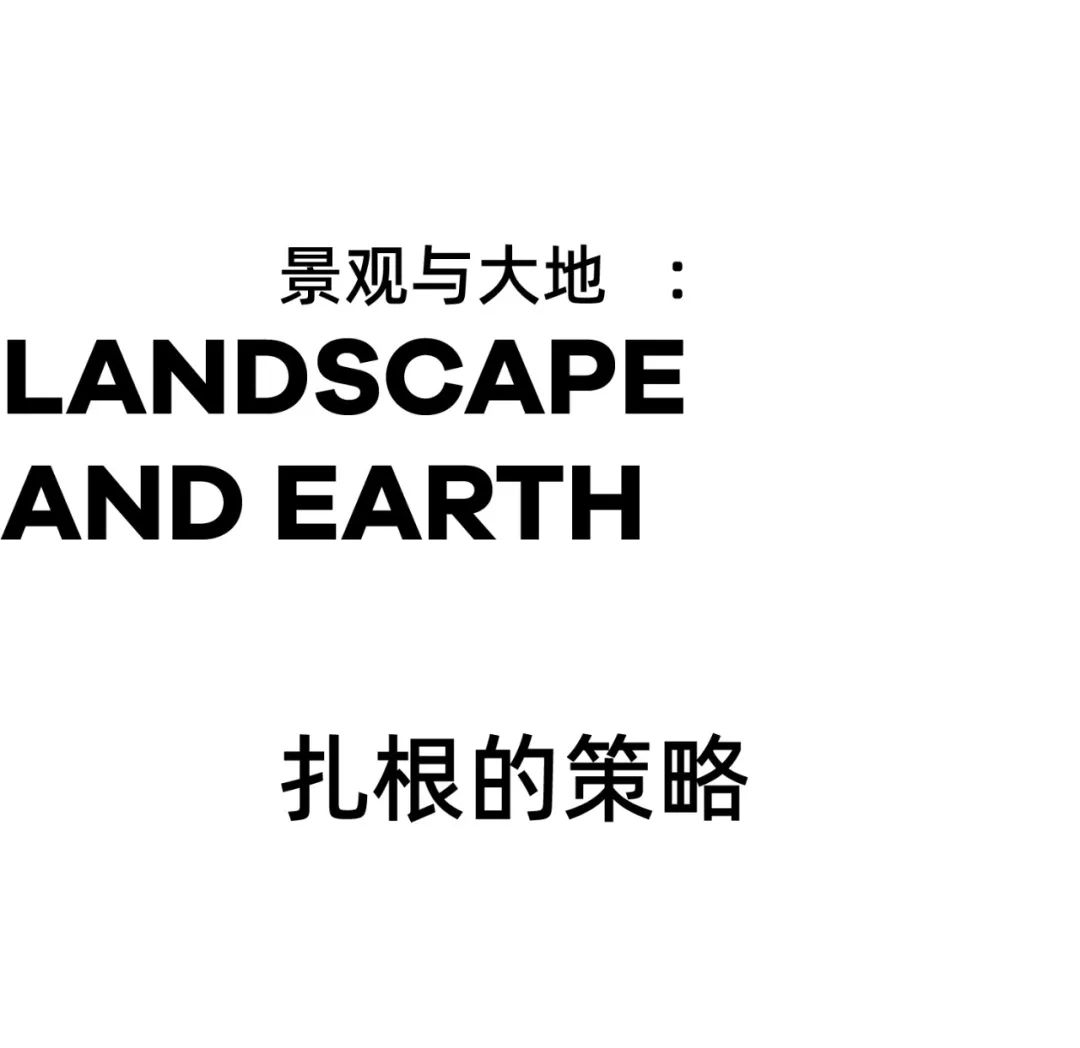 1734676784137961.jpg 1734676706385.jpg