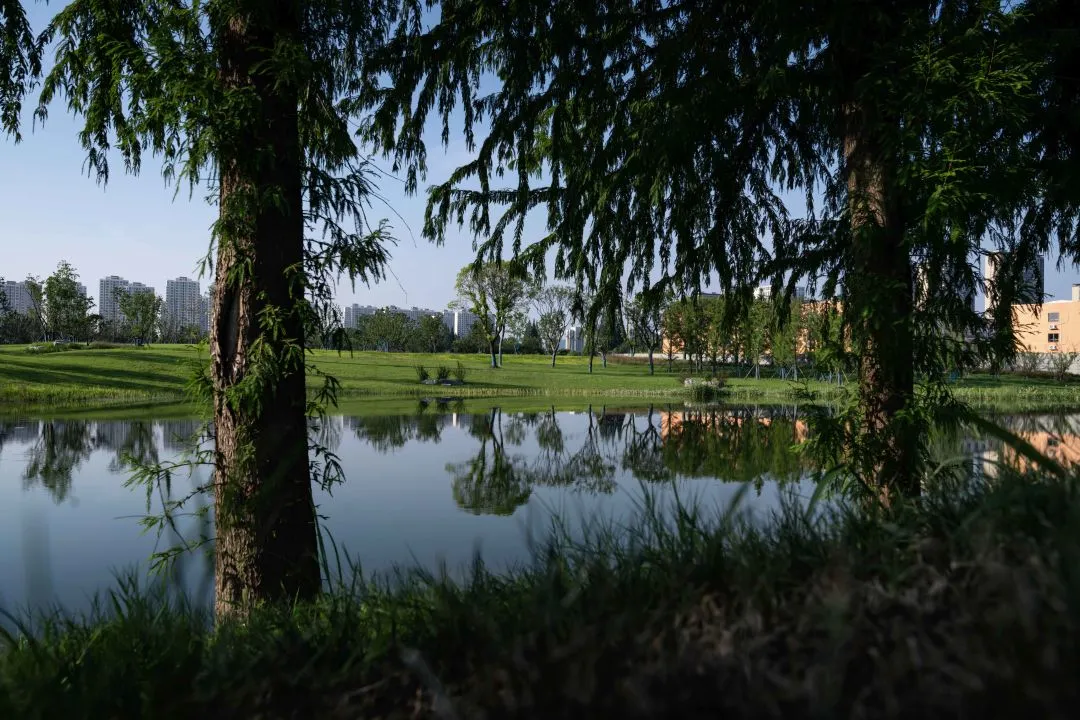 1736230093302294.jpg 1736230026680.jpg