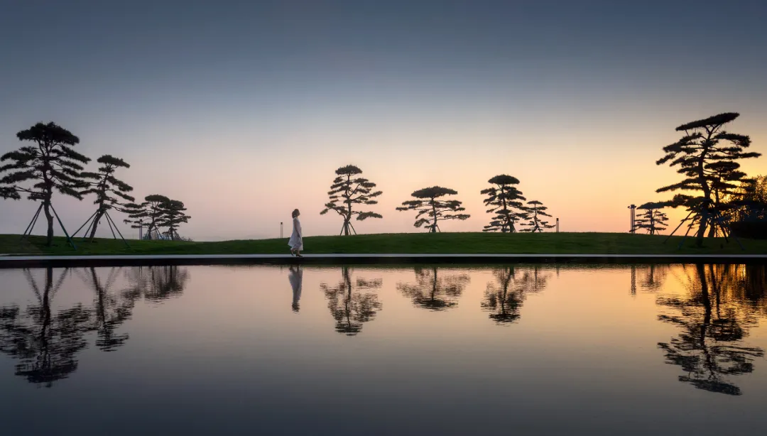 1736329281178277.jpg 1736329275004.jpg