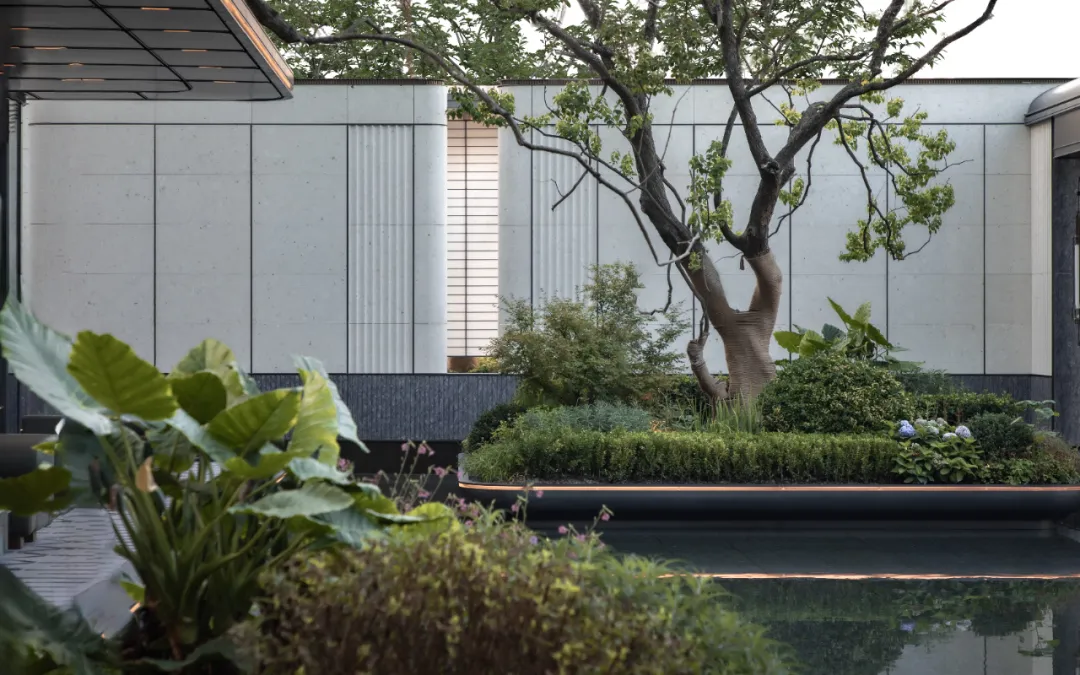 1736749118154778.jpg 1736749099940.jpg