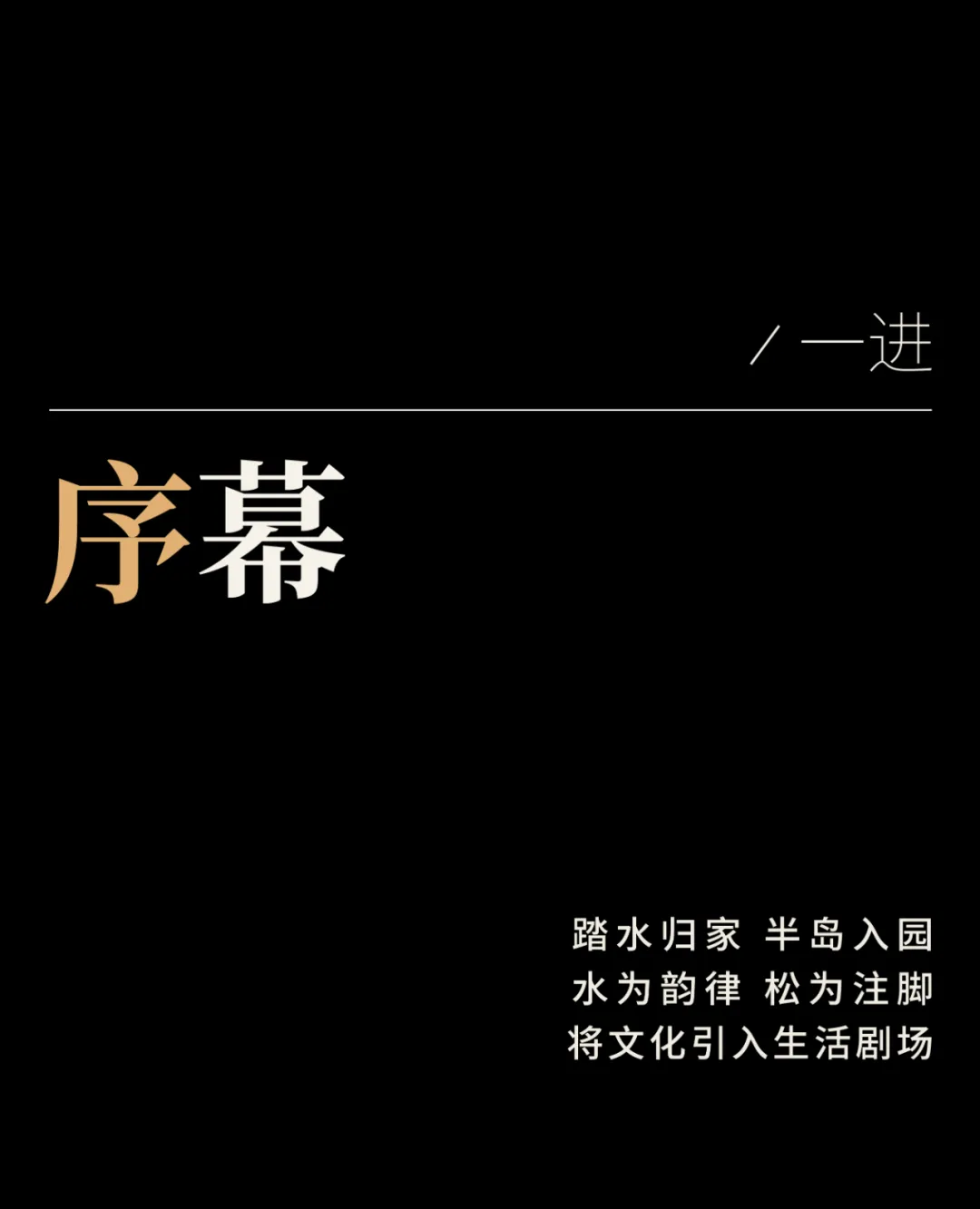 1736908497186954.jpg 1736908489418.jpg