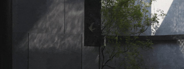 1736908643142972.jpg 1736908630985.jpg