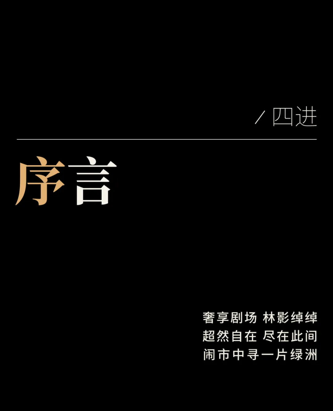 1736908914741607.jpg 1736908912222.jpg