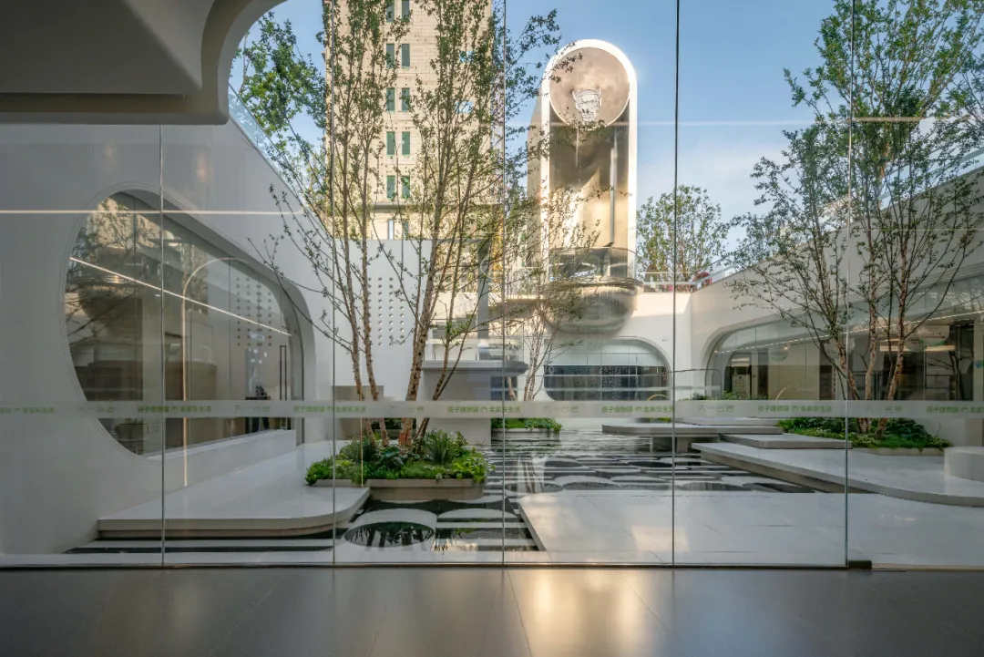 1736922873109525.jpg 1736922868749.jpg