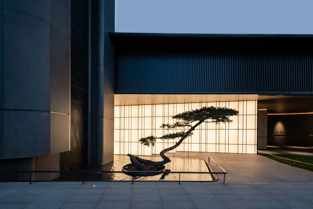 1737085964230389.jpg 1737085951796.jpg