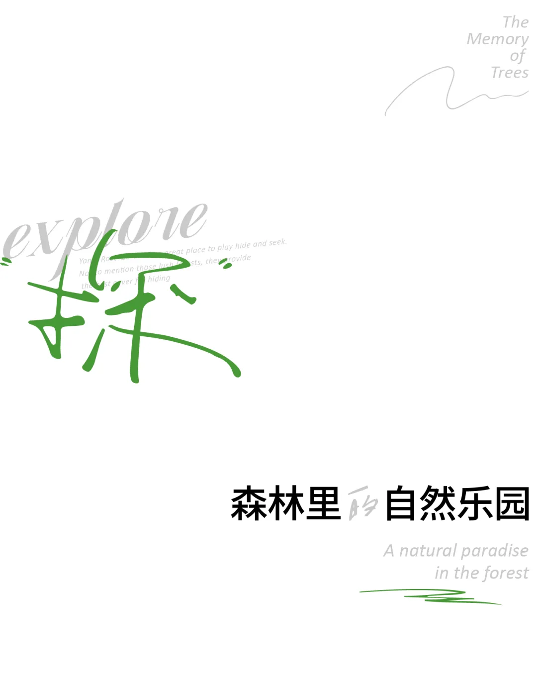 1737103312130776.jpg 1737103174829.jpg