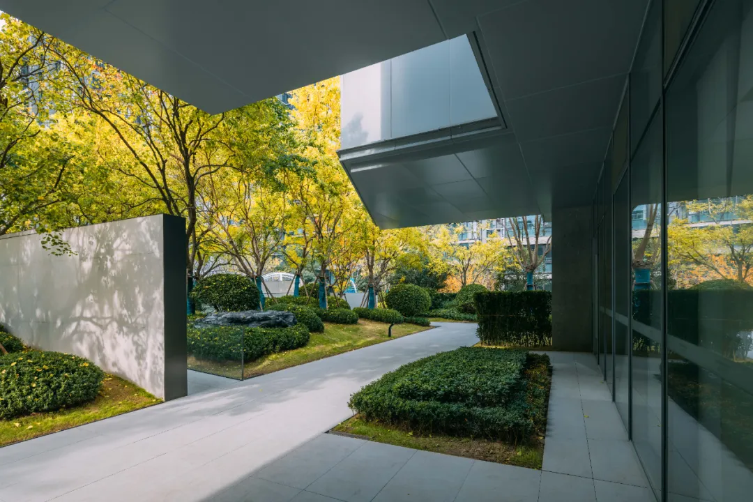 1737338819935307.jpg 1737338739047.jpg