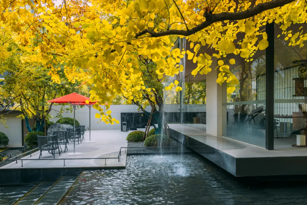 1737338897327661.jpg 1737338850849.jpg