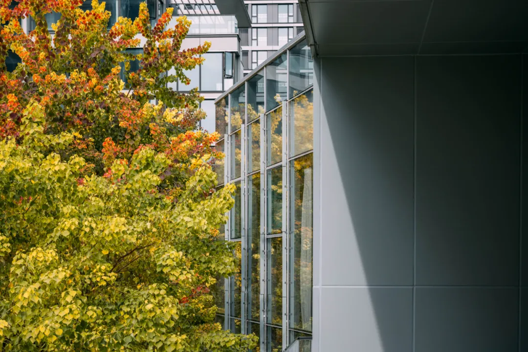 1737339030441016.jpg 1737338984698.jpg