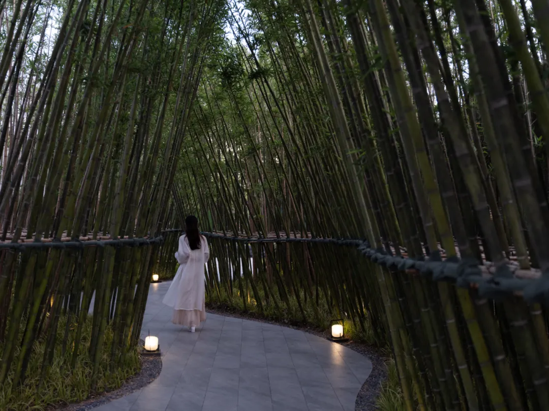 1737874328134506.jpg 1737874315543.jpg