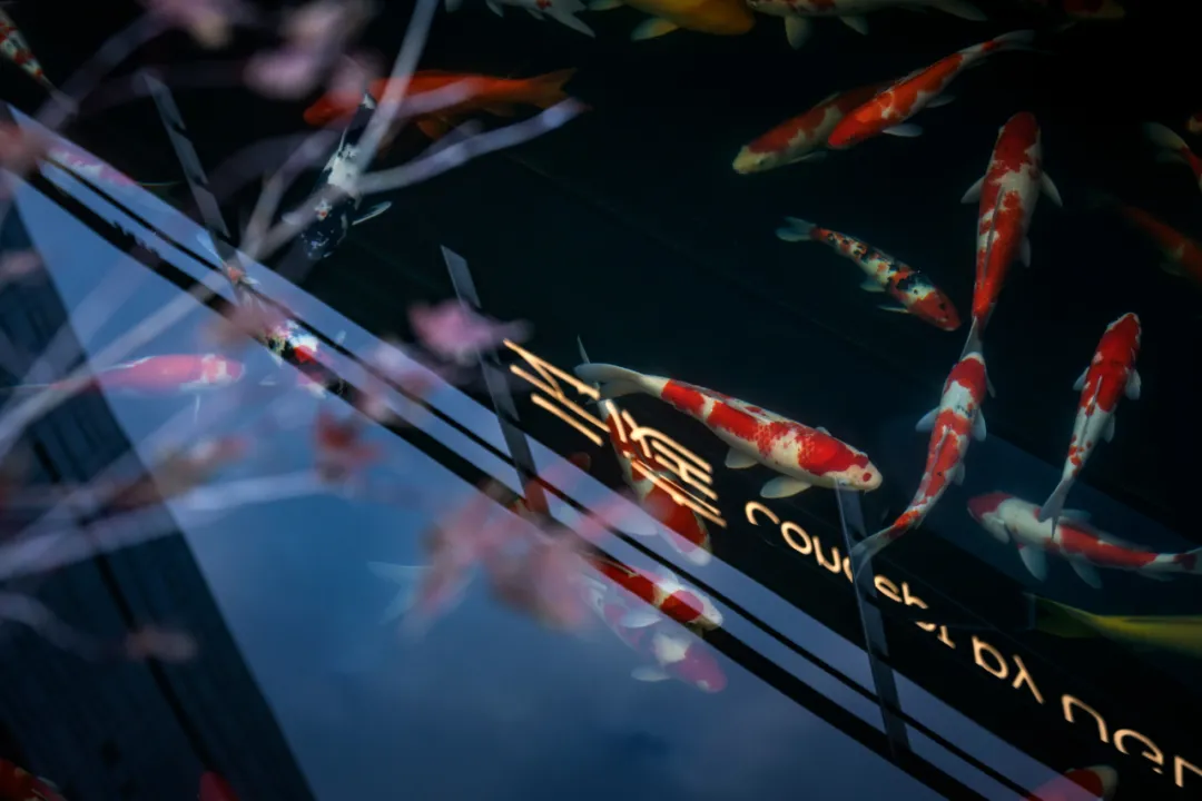 1741079187156189.jpg 1741079176241.jpg